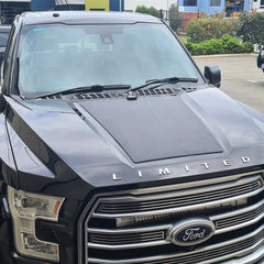 Ford F-150 (2015-2020) 90W Hood Solar Panel